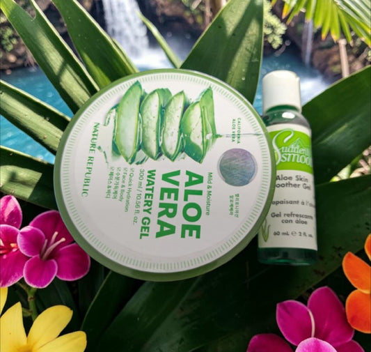 2pc Aloe Vera Bundle